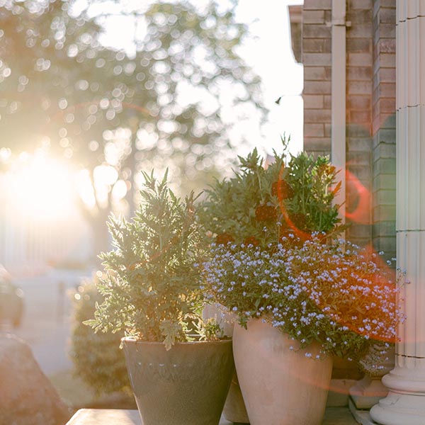 landscape-maintenance-42 Aménagement Paysager