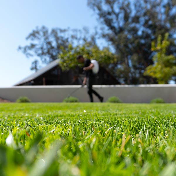 landscape-maintenance-40 Lutte Antiparasitaire